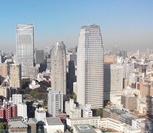 Tokyo City Skyline during the day, with skyscrapers